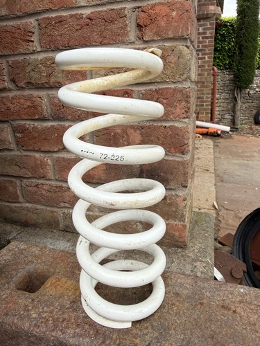 225 rear shock spring - shock,
